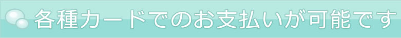 各種カードでのお支払いが可能です